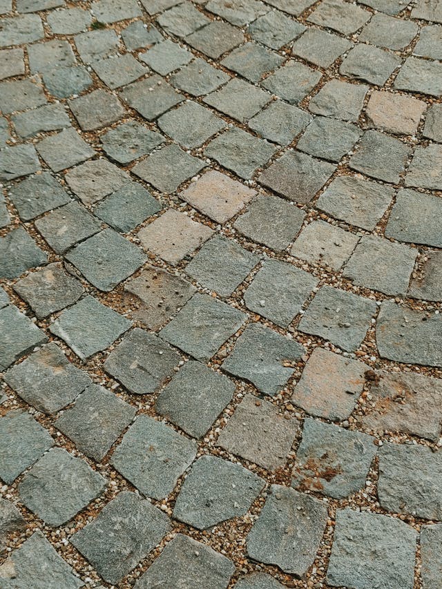 pexels-didsss-2694913